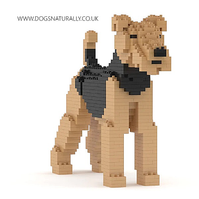 Airedale Terrier Jekca Available in 2 Sizes